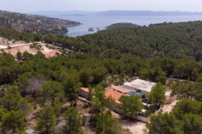 Family friendly house with a swimming pool Cove Koramaslinova - Koromaslinova, Brac - 15479